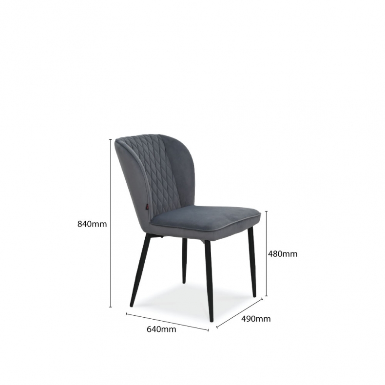 JUPITER-N2 DINING CHAIR