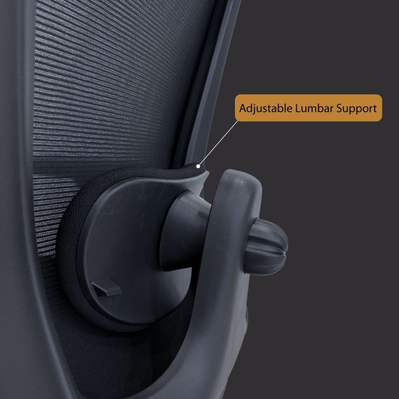 MIRRA EXECUTIVE OFFICE CHAIR WITH HEADREST