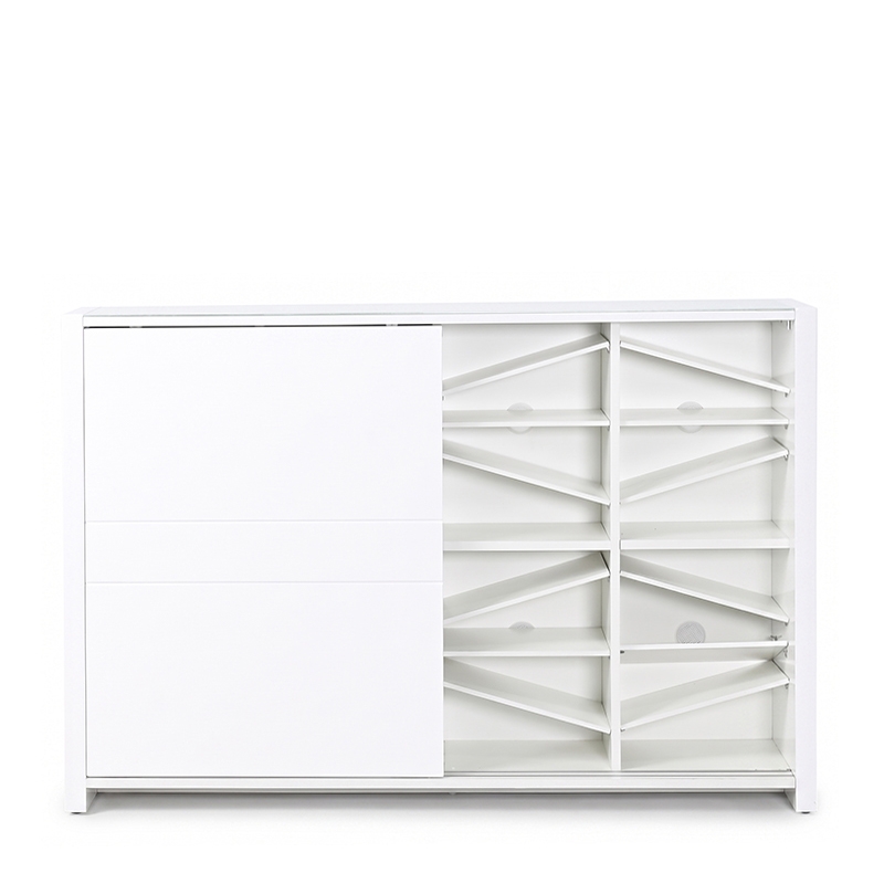 AMIDEO-CZ 2 SLIDING DOOR SHOE CABINET