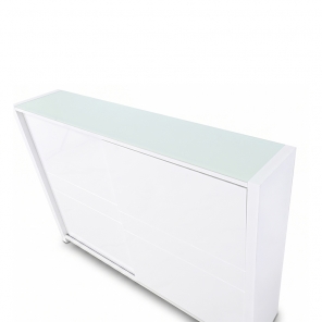 AMIDEO-CZ 2 SLIDING DOOR SHOE CABINET