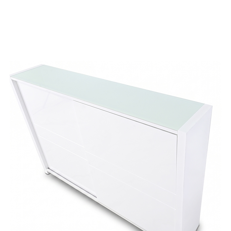 AMIDEO-CZ 2 SLIDING DOOR SHOE CABINET