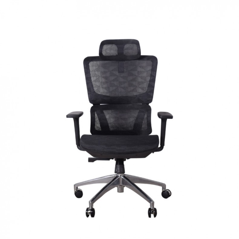JOSE-N ERGONOMIC EXECUTIVE OFFICE CHAIR